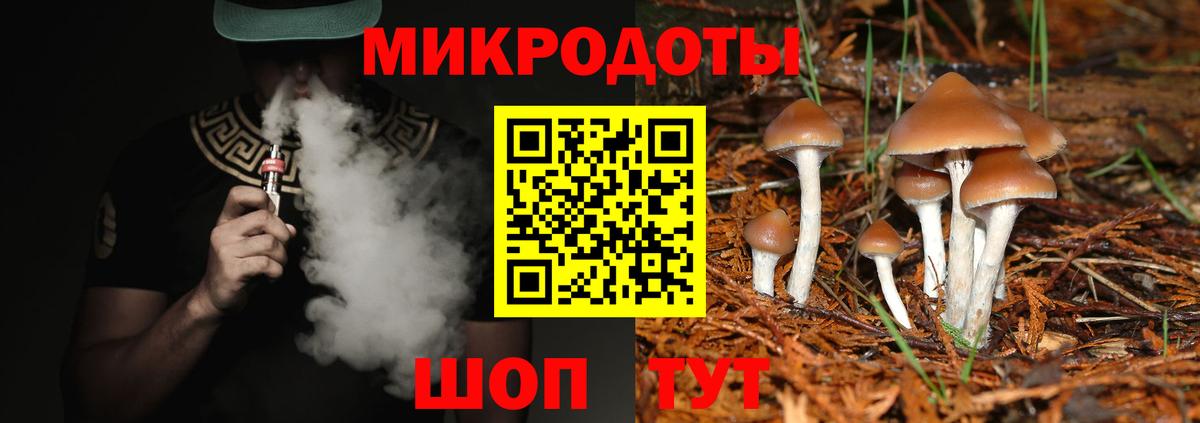 Галлюциногенные грибы GOLDEN TEACHER  Вход с VPN  Псилоцибиновые грибы мухоморы  наркотики  Ефремов 